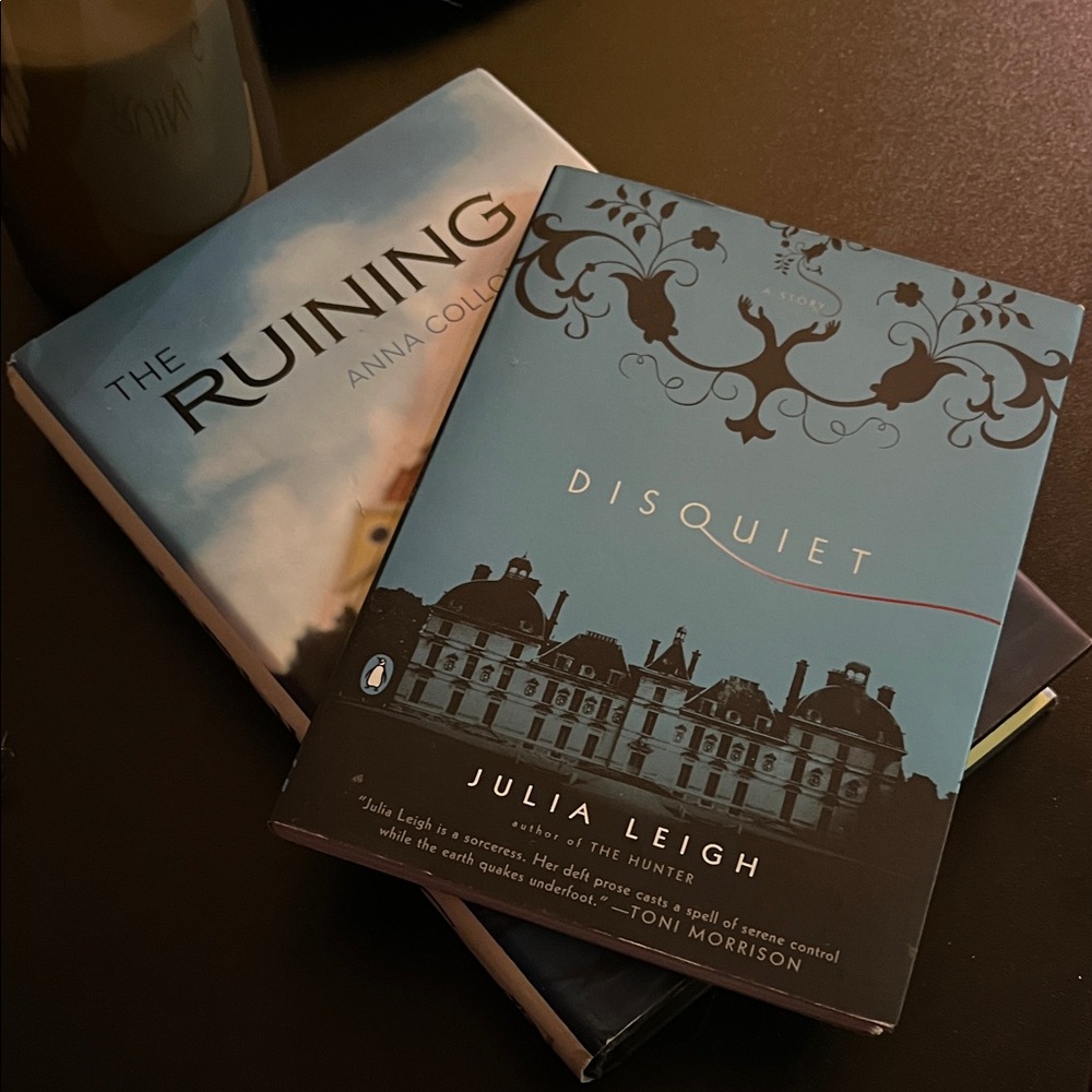 Disquiet by Julia Leigh - Elegant Blue Cover/ 2 books included, The Ruining.